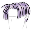 Coupe à la trunks